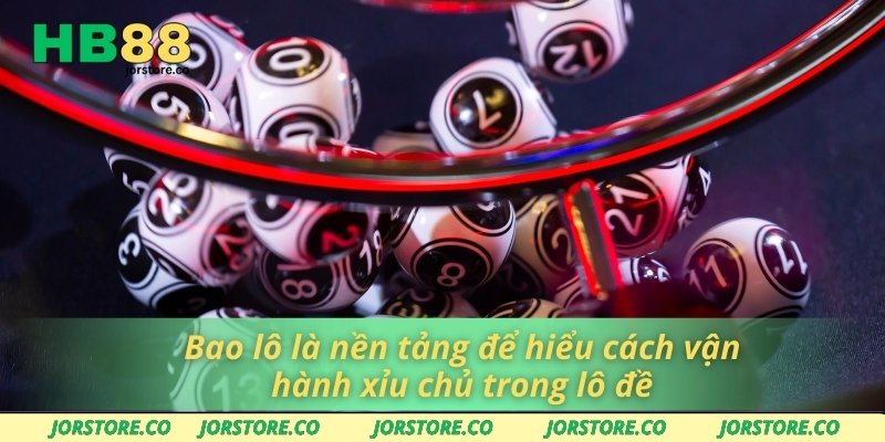 Xỉu Chủ Là Gì? Chiến Thuật Chơi Giúp Bạn Thắng Lớn Tại HB88 Bao lô là nền tảng để hiểu cách vận hành xỉu chủ trong lô đề