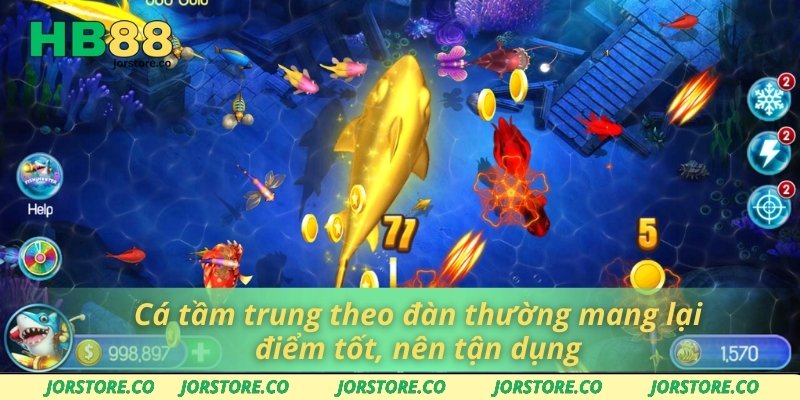 Mẹo Bắn Cá Hay Giúp Tăng Điểm Nhanh Tại Nhà Cái HB88 Cá tầm trung theo đàn thường mang lại điểm tốt, nên tận dụng