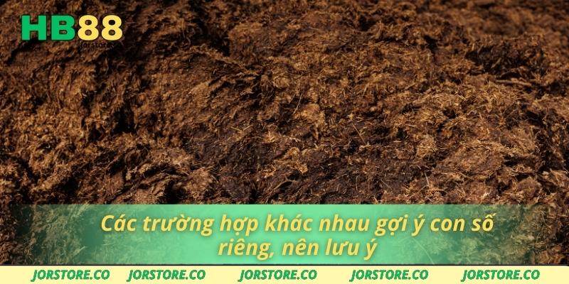 Mơ Thấy Cứt Và Những Con Số May Mắn Trong Lô Đề HB88 Các trường hợp khác nhau gợi ý con số riêng, nên lưu ý