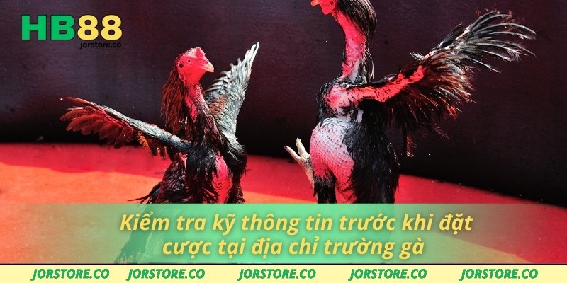 Địa Chỉ Trường Gà Thomo – Lựa Chọn Số 1 Cho Người Chơi Kiểm tra kỹ thông tin trước khi đặt cược tại địa chỉ trường gà